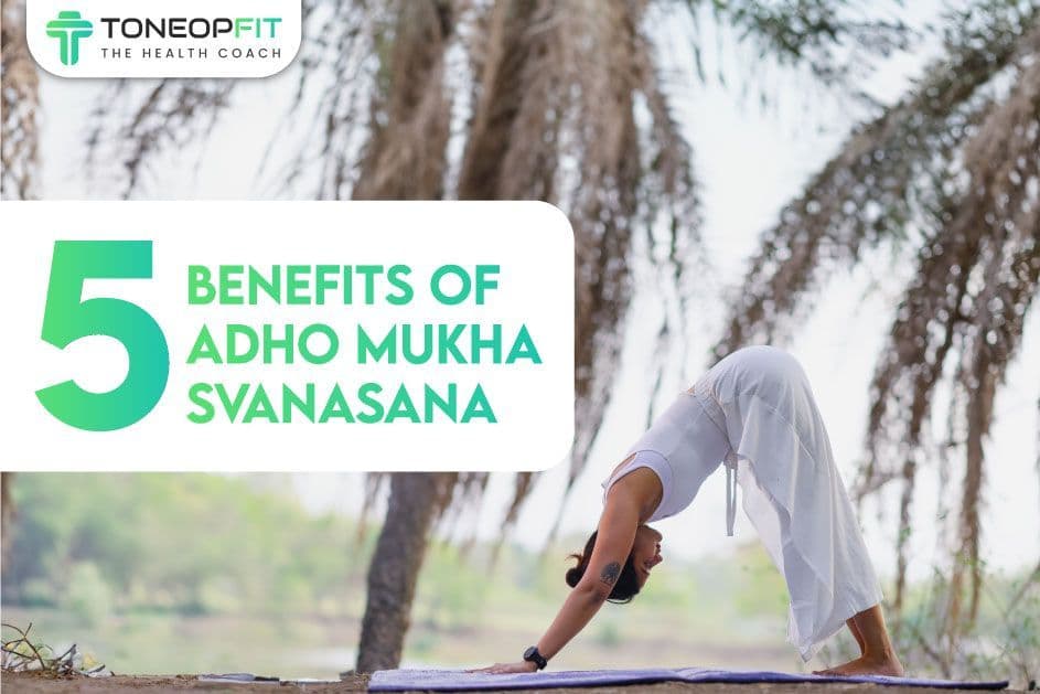 5 Benefits Of Adho Mukha Svanasana: A Journey to Better Physical, Mental, and Spiritual Wellness