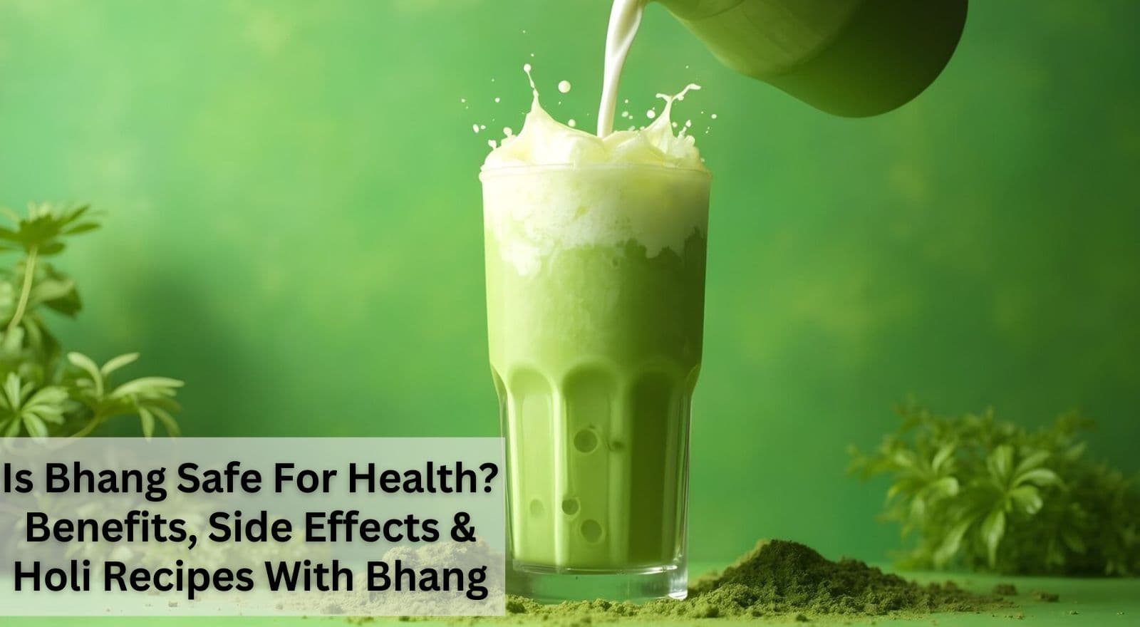 7 Surprising Bhang Benefits That Will Take Your Holi 2025 Celebration to the Next Level (Plus, Amazing Recipes and Side Effects)