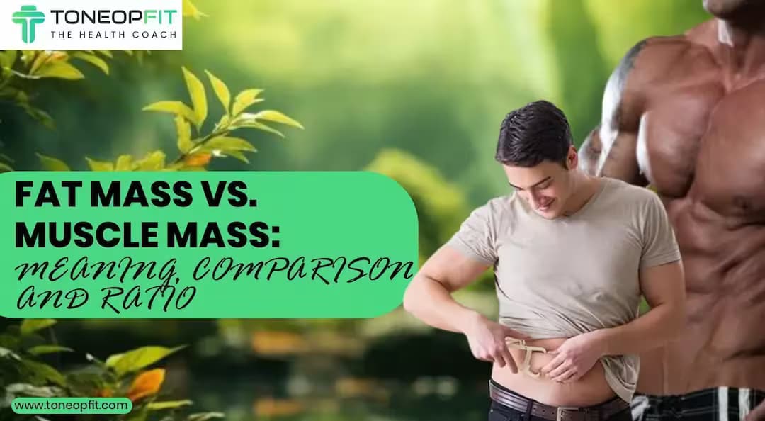 Fat Mass Vs. Muscle Mass: Meaning, Comparison And Ratio