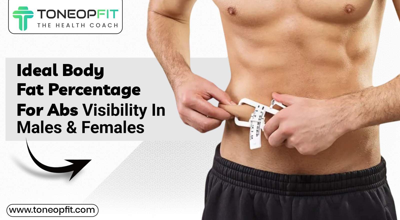Body Fat Percentage For Abs: Know the Ranges For Abs Visibility In Men & Women!