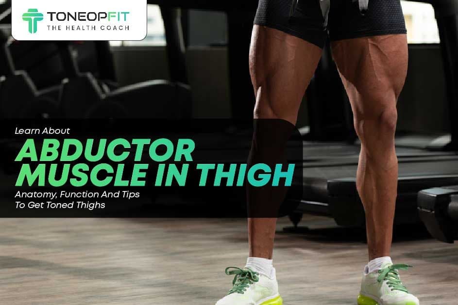 Learn About Abductor Muscle In Thigh: Anatomy, Function And Tips To Get Toned Thighs