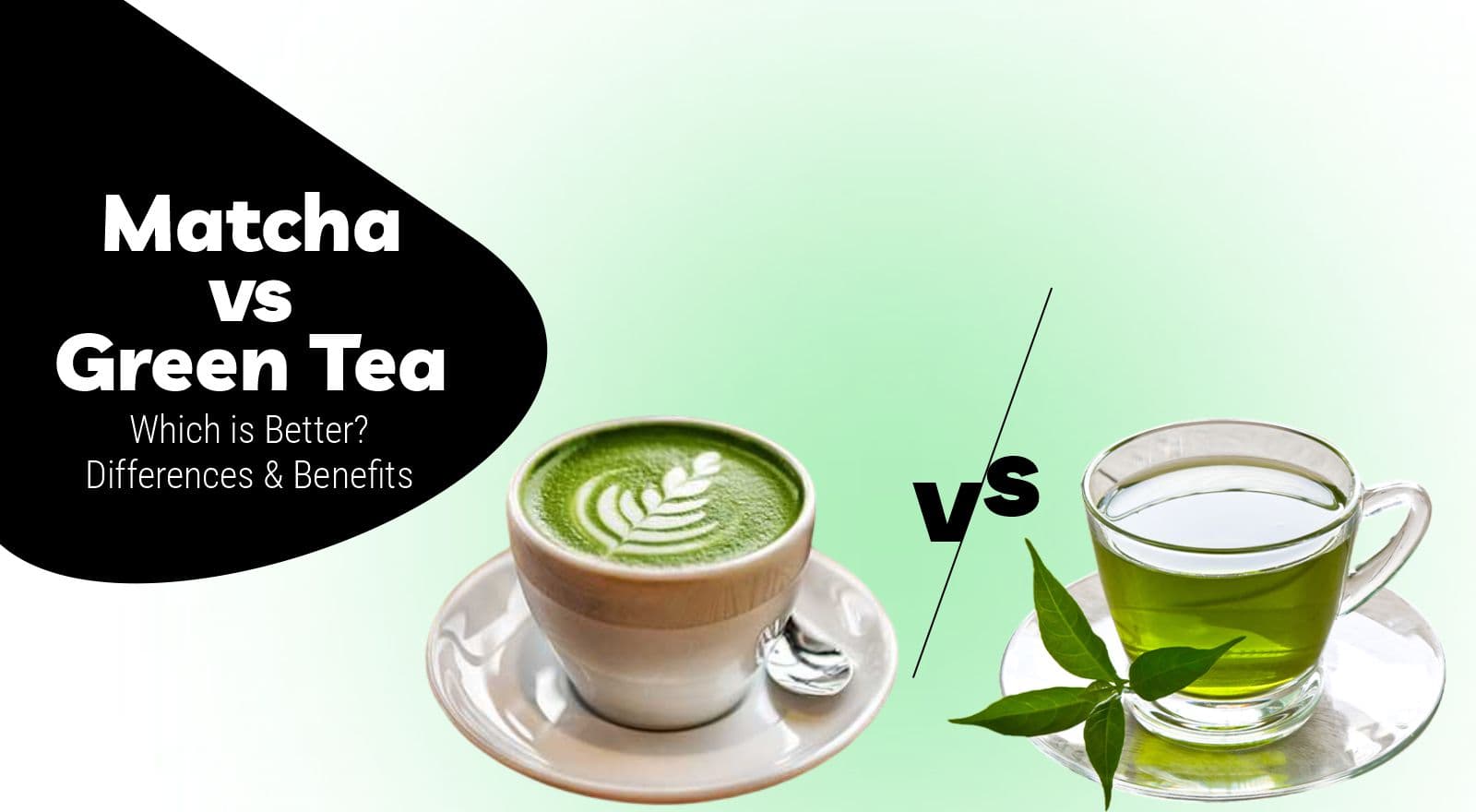 Matcha vs. Green Tea - Which is Better? Differences and Benefits That Will SHOCK You!