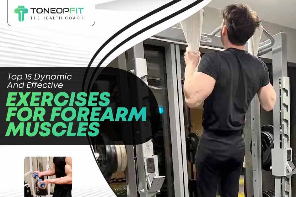 Top 15 Dynamic And Effective Exercises For Forearm Muscles