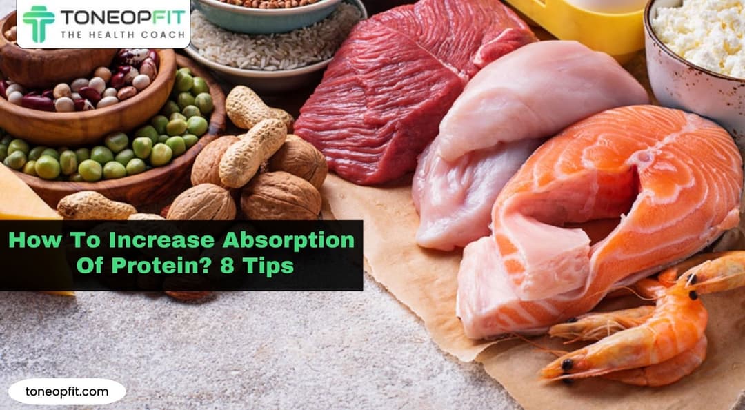 How To Increase Absorption Of Protein? 8 Tips | ToneOpFit